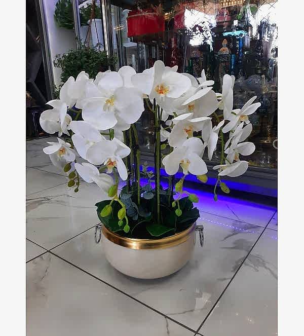 Dekoratif Tanzim Orkide - Beyaz